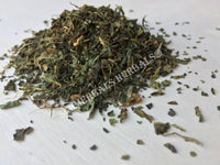 Dried Nettle Leaf, Urtica dioica, for Sale from Schmerbals Herbals