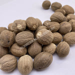 Nutmeg Whole Seed, Myristica fragrans, for Sale from Schmerbals Herbals