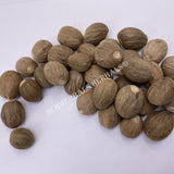 Nutmeg Whole Seed, Myristica fragrans, for Sale from Schmerbals Herbals