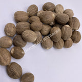 Nutmeg Whole Seed, Myristica fragrans, for Sale from Schmerbals Herbals