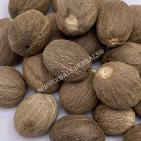 Nutmeg Whole Seed, Myristica fragrans, for Sale from Schmerbals Herbals