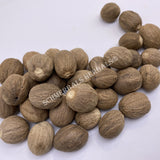 Nutmeg Whole Seed, Myristica fragrans, for Sale from Schmerbals Herbals