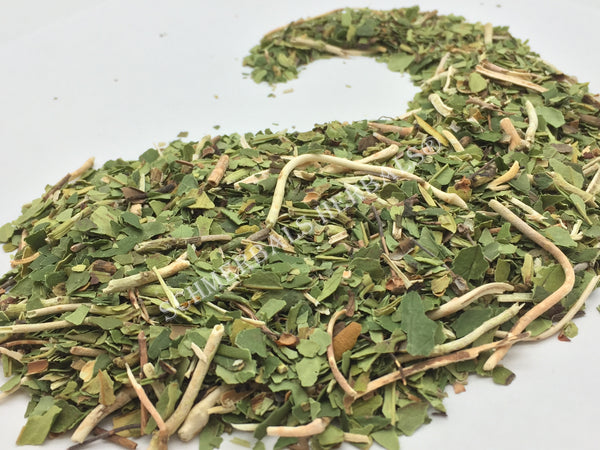 Dried Wild-Crafted Pipsissewa Herb, Chimaphila umbellata, for Sale from Schmerbals Herbals