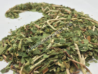 Dried Wild-Crafted Pipsissewa Herb, Chimaphila umbellata, for Sale from Schmerbals Herbals