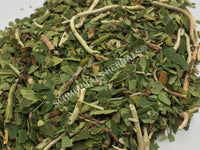 Dried Wild-Crafted Pipsissewa Herb, Chimaphila umbellata, for Sale from Schmerbals Herbals