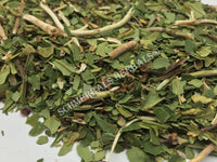 Dried Wild-Crafted Pipsissewa Herb, Chimaphila umbellata, for Sale from Schmerbals Herbals