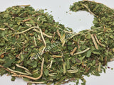 Dried Wild-Crafted Pipsissewa Herb, Chimaphila umbellata, for Sale from Schmerbals Herbals