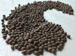 Dried All Natural Rivea corymbosa, Viable Untreated Ololiuqui Seeds for Sale from Schmerbals Herbals