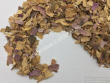 Dried Organic Sacred Lotus Pink Petals, Nelumbo nucifera, for Sale from Schmerbals Herbals