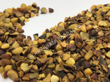 Dried All Natural Chopped Saw Palmetto Berries, Serenoa repens, for Sale from Schmerbals Herbals