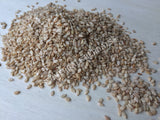 Dried All Natural Whole Sesame Seeds, Sesamum indicum, for Sale from Schmerbals Herbals