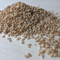 Dried All Natural Whole Sesame Seeds, Sesamum indicum, for Sale from Schmerbals Herbals