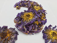 Dried Blue Lotus Whole Flower, Nymphaea caerulea, Siamese Dream, For Sale from Schmerbals Herbals