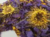 Dried Blue Lotus Whole Flower, Nymphaea caerulea, Siamese Dream, For Sale from Schmerbals Herbals