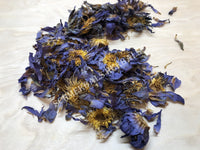 Whole Flower Blue Lotus, Nymphaea caerulea, "Siamese Dream™" For Sale from Schmerbals Herbals