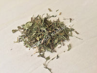 Dried All Natural Stevia Leaf, Stevia rebaudiana, for Sale from Schmerbals Herbals