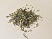 Dried Stevia Leaf, Stevia rebaudiana, for Sale from Schmerbals Herbals