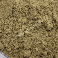 Dried All Natural Stone Breaker Plant Powder, Phyllanthus urinaria, for Sale from Schmerbals Herbals