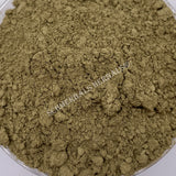 Dried All Natural Stone Breaker Plant Powder, Phyllanthus urinaria, for Sale from Schmerbals Herbals