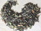 Dried White Peony Tea, Camellia sinensis, for Sale from Schmerbals Herbals