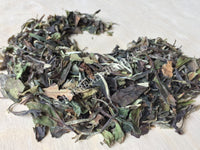 Dried White Peony Tea, Camellia sinensis, for Sale from Schmerbals Herbals