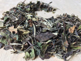 Dried White Peony Tea, Camellia sinensis, for Sale from Schmerbals Herbals