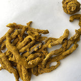 Dried All Natural Common Turmeric Rhizome Pieces, Curcuma longa, for Sale from Schmerbals Herbals