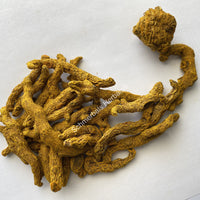Dried All Natural Common Turmeric Rhizome Pieces, Curcuma longa, for Sale from Schmerbals Herbals
