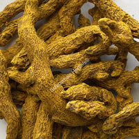 Dried All Natural Common Turmeric Rhizome Pieces, Curcuma longa, for Sale from Schmerbals Herbals