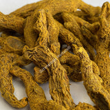 Dried All Natural Common Turmeric Rhizome Pieces, Curcuma longa, for Sale from Schmerbals Herbals