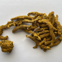 Dried All Natural Common Turmeric Rhizome Pieces, Curcuma longa, for Sale from Schmerbals Herbals