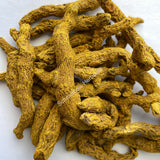 Dried All Natural Common Turmeric Rhizome Pieces, Curcuma longa, for Sale from Schmerbals Herbals