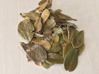 Dried All Natural Uva Ursi Leaf, Arctostaphylos uva ursi, for Sale from Schmerbals Herbals
