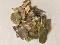 Dried Wild-Crafted Uva Ursi Leaf, Arctostaphylos uva ursi, for Sale from Schmerbals Herbals