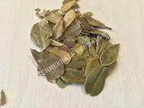 Dried Organic Uva Ursi Leaf, Arctostaphylos uva ursi, for Sale from Schmerbals Herbals