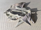 Dried Whole Leaf White Sage, Salvia apiana, for Sale from Schmerbals Herbals