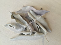 Dried Wild-Crafted Whole Leaf White Sage, Salvia apiana, for Sale from Schmerbals Herbals