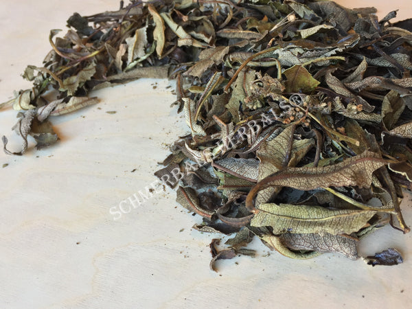 Dried Wild-Crafted Yerba Santa Whole Leaf, Eriodictyon californicum, for Sale from Schmerbals Herbals