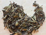 Dried Wild-Crafted Yerba Santa Whole Leaf, Eriodictyon californicum, for Sale from Schmerbals Herbals